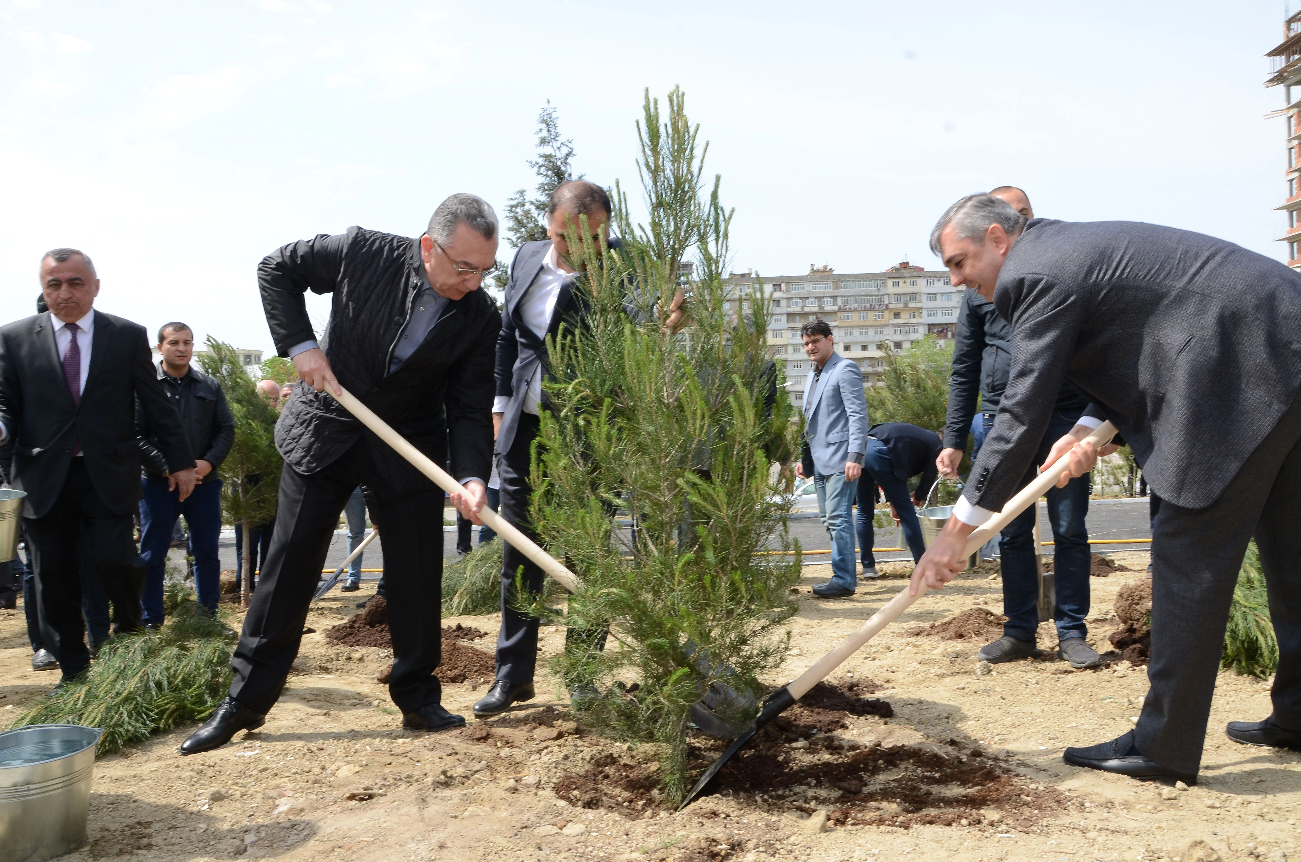 Tree-Planting Campaign Conducted by the State Committee on Urban Planning and Architecture and Baku City Executive Power